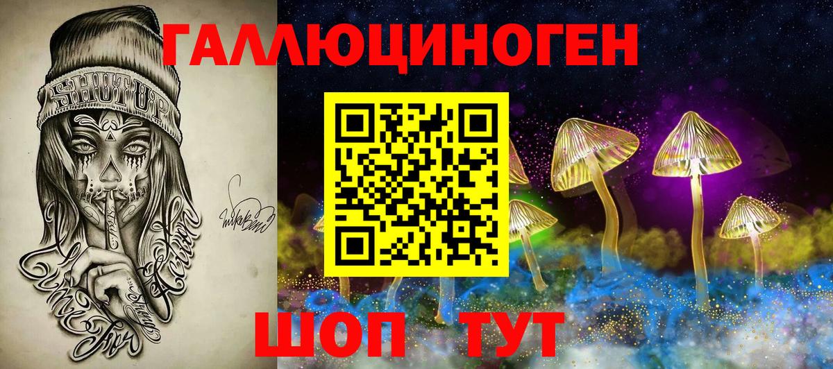 Псилоцибиновые грибы GOLDEN TEACHER  Галлюциногенные грибы Psilocybe  Вход с VPN  купить наркотик  Печора 